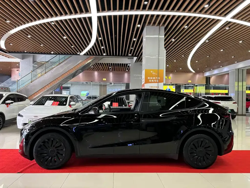 Tesla Model Y — фото 8