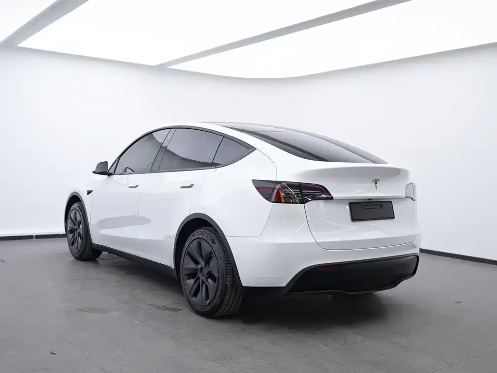 Tesla Model Y — фото 5
