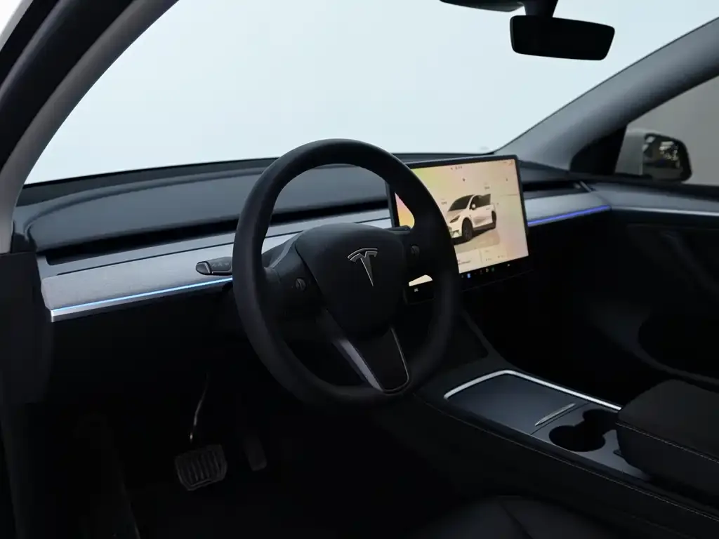 Tesla Model Y — фото 4