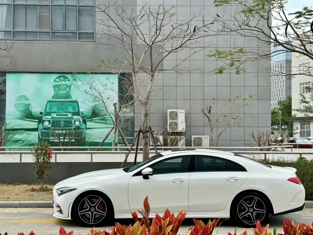 Mercedes-Benz CLS 2021 из CN, фото 9