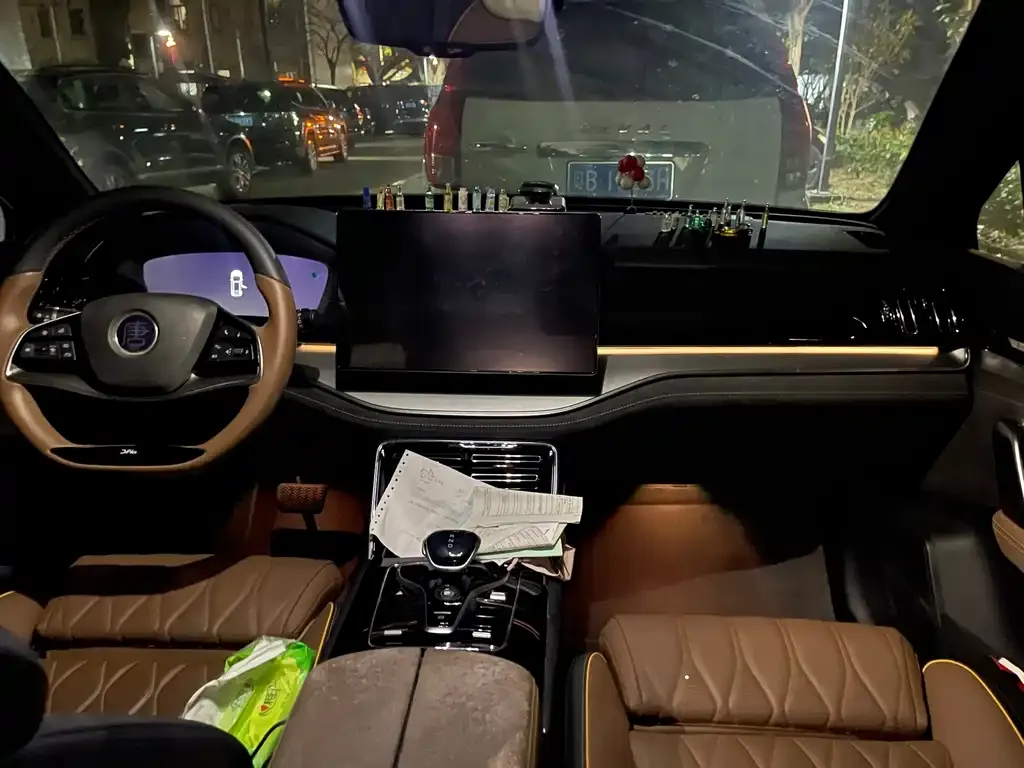 BYD Tang New Energy 2021 из CN, фото 10