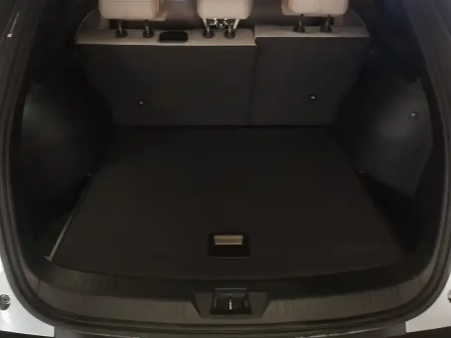 BYD Pro New Energy — фото 4