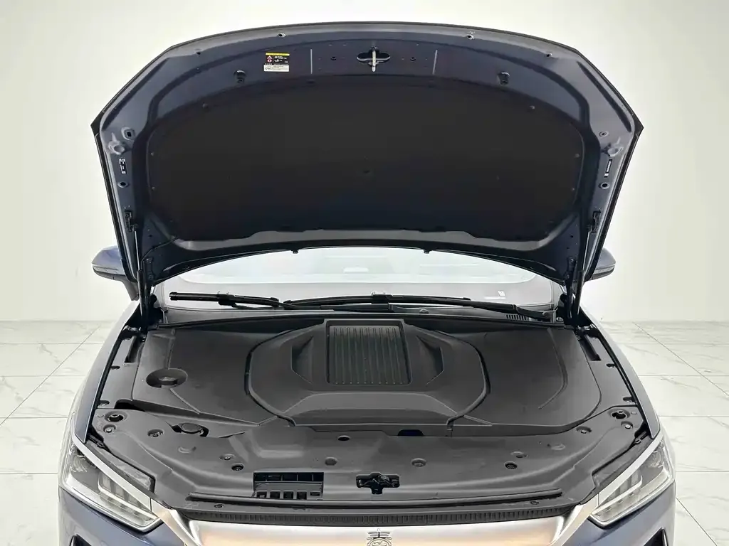 BYD Qin PLUS 2025 из CN, фото 10