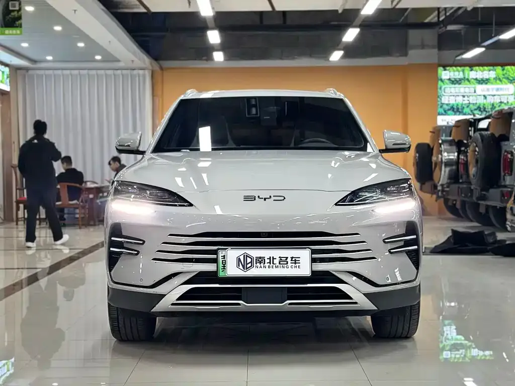 BYD PLUS New Energy — фото 1