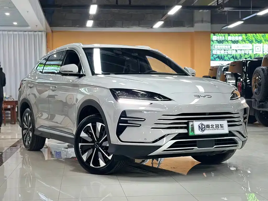 BYD PLUS New Energy — фото 9