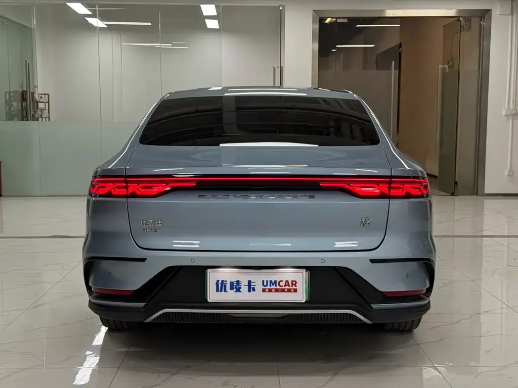 BYD Han — фото 10