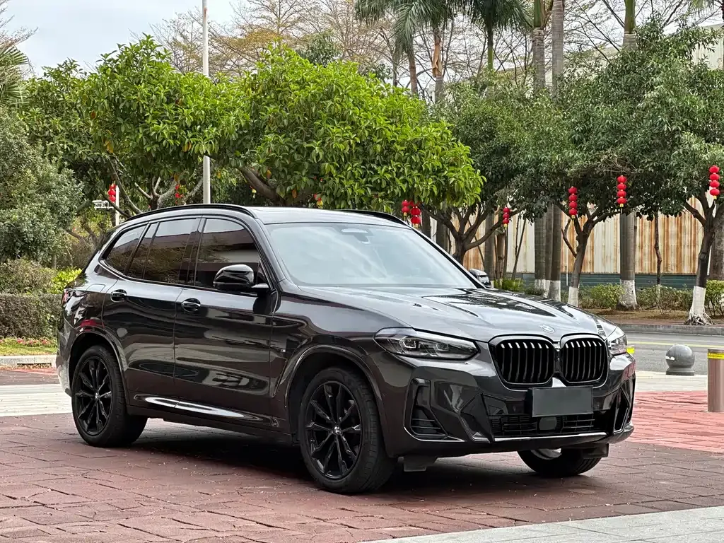 BMW X3 2024 из CN, фото 9