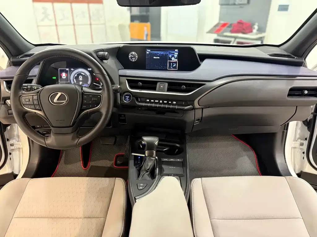 Lexus UX 2021 из CN, фото 10
