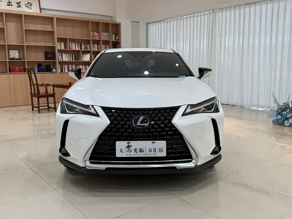 Lexus UX 2021 из CN, фото 8