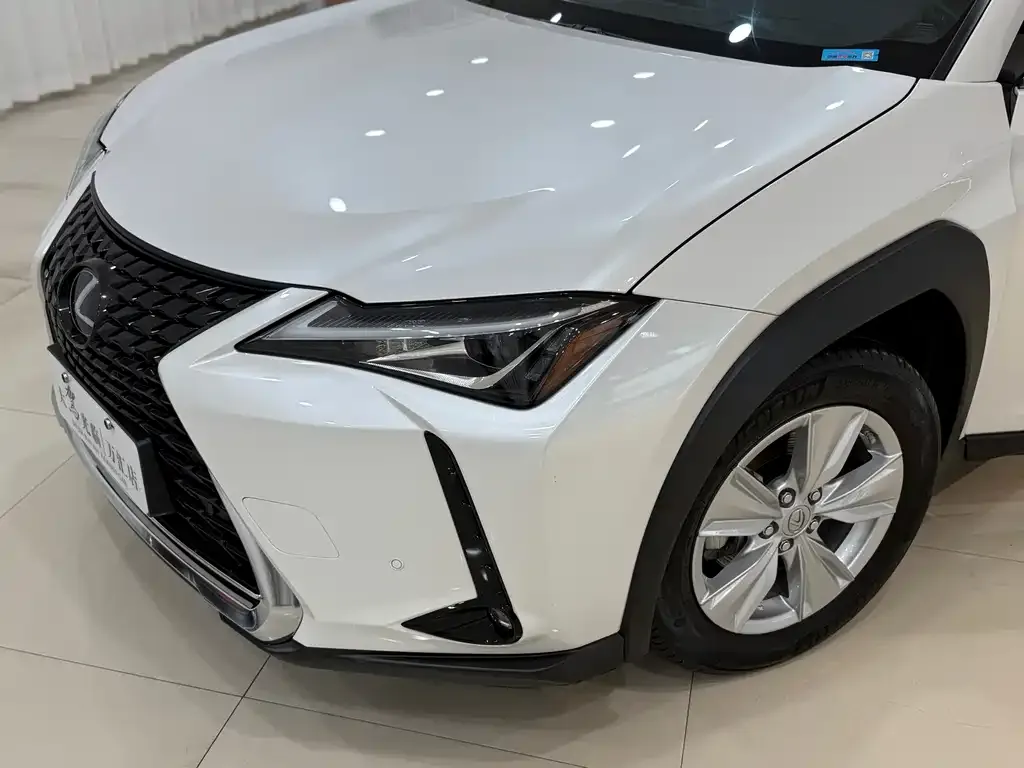 Lexus UX 2021 из CN, фото 9
