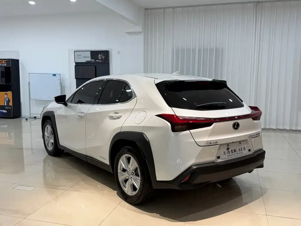 Lexus UX 2021 из CN, фото 5
