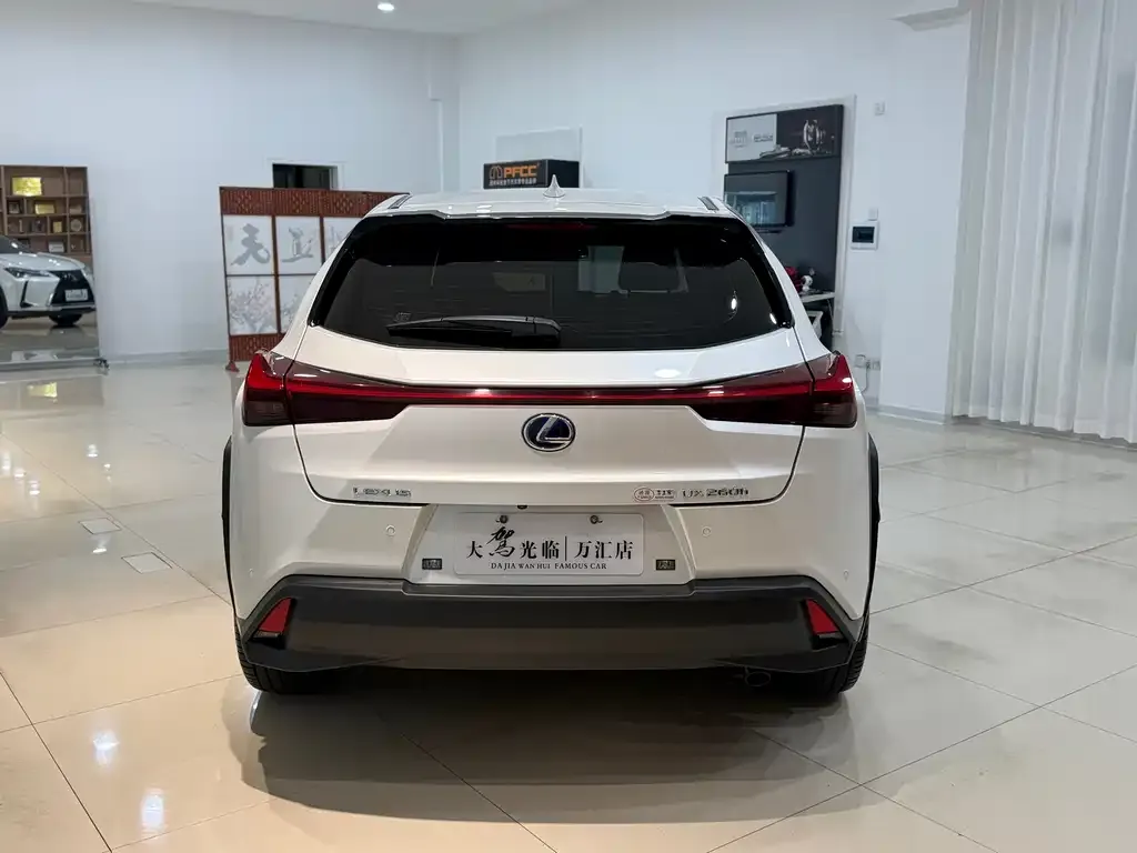 Lexus UX 2021 из CN, фото 6