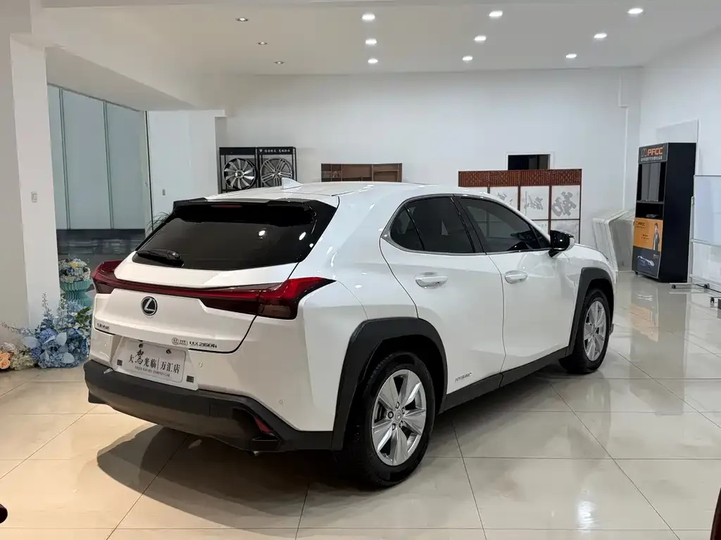 Lexus UX 2021 из CN, фото 4