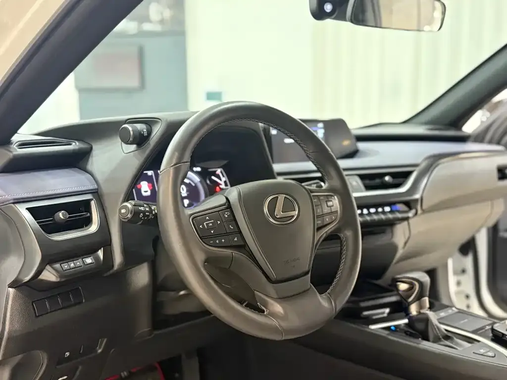 Lexus UX 2021 из CN, фото 7