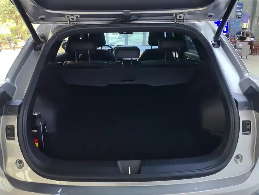 Haval Shenshou 2022 из CN, фото 2