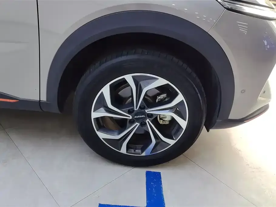 Haval Shenshou 2022 из CN, фото 3