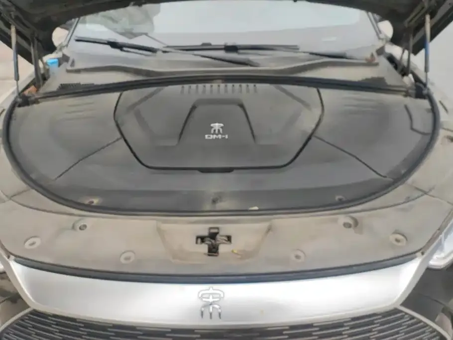 BYD PLUS New Energy — фото 10