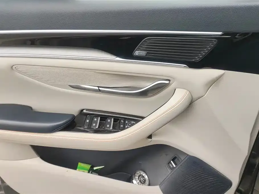 BYD PLUS New Energy — фото 2