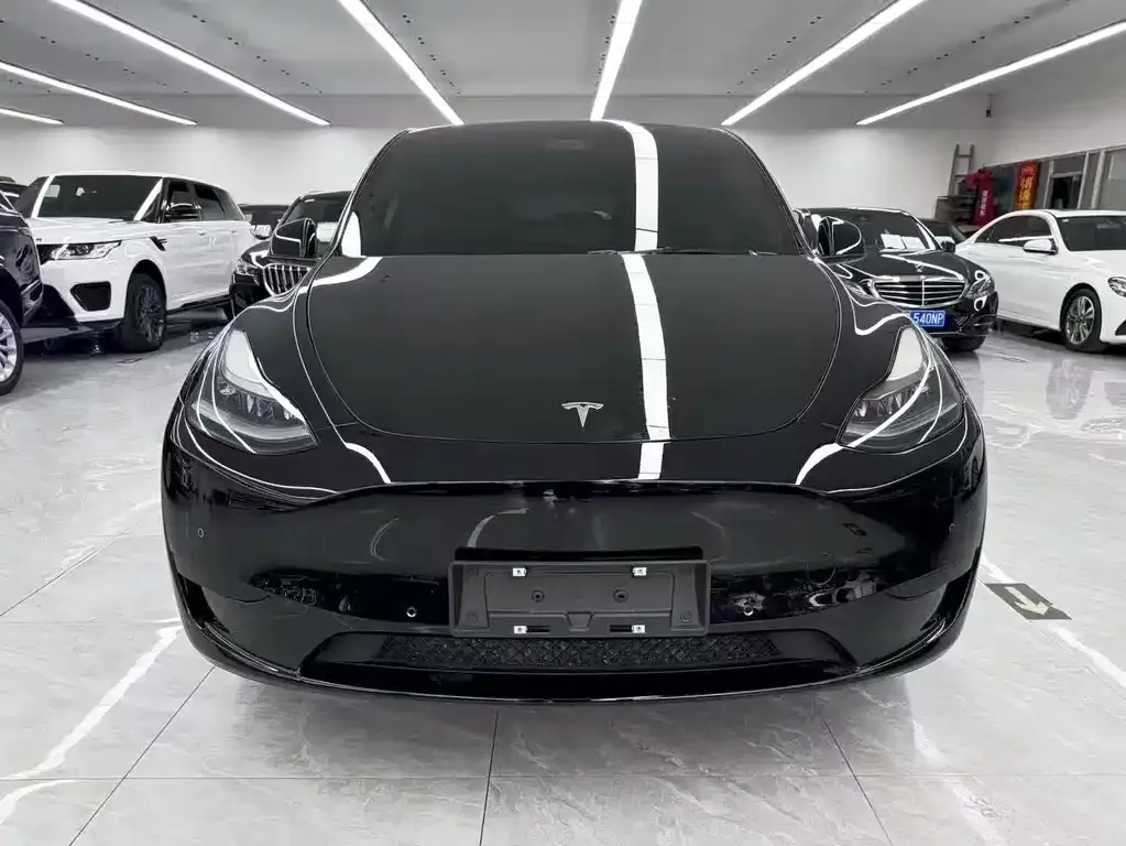 Tesla Model Y 2021 из CN, фото 6