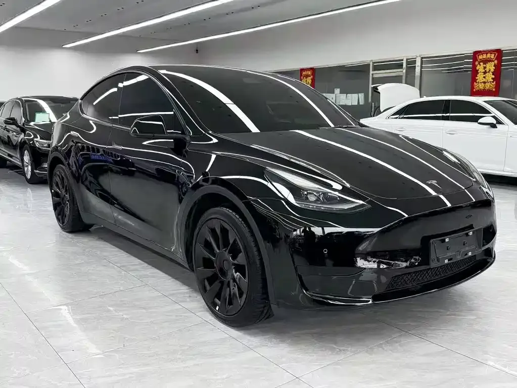 Tesla Model Y 2021 из CN, фото 3