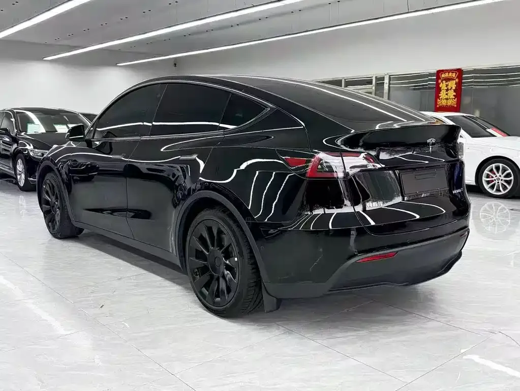 Tesla Model Y 2021 из CN, фото 8