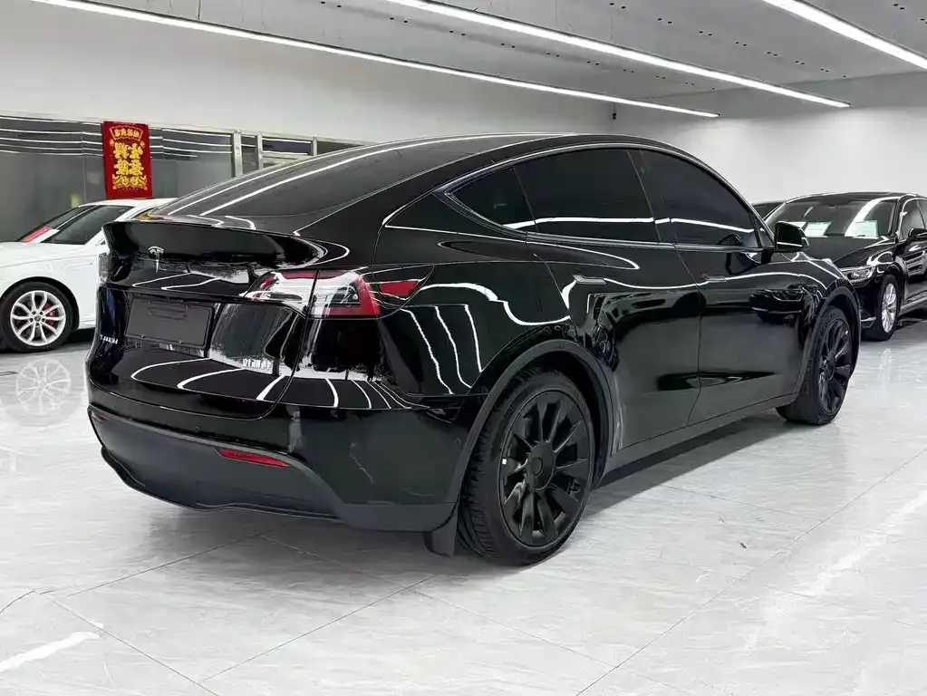 Tesla Model Y 2021 из CN, фото 4