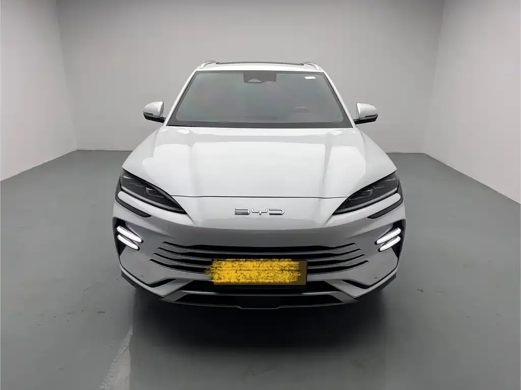 BYD PLUS New Energy — фото 8