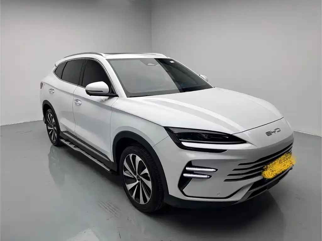 BYD PLUS New Energy — фото 6
