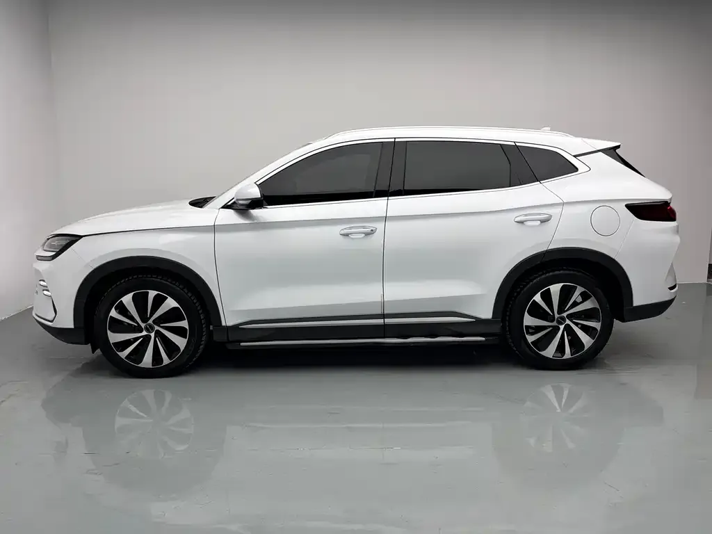BYD PLUS New Energy — фото 4