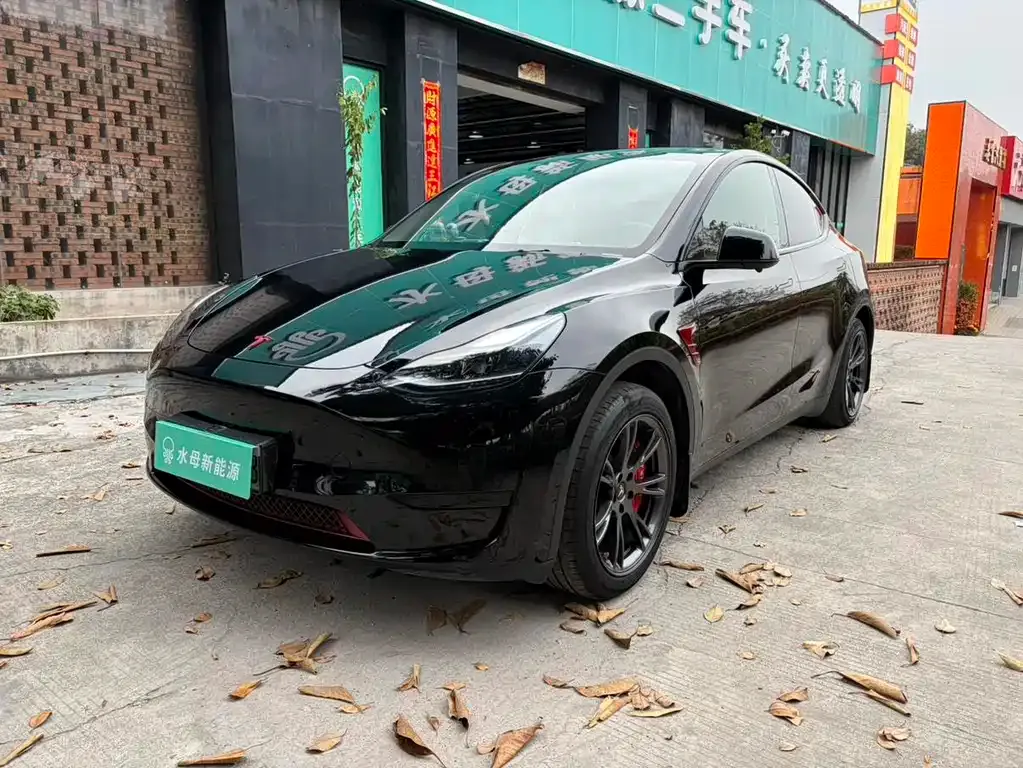Tesla Model Y — фото 1