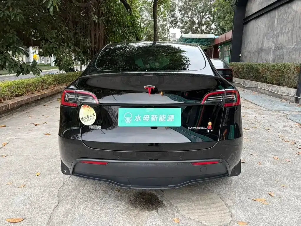 Tesla Model Y — фото 5