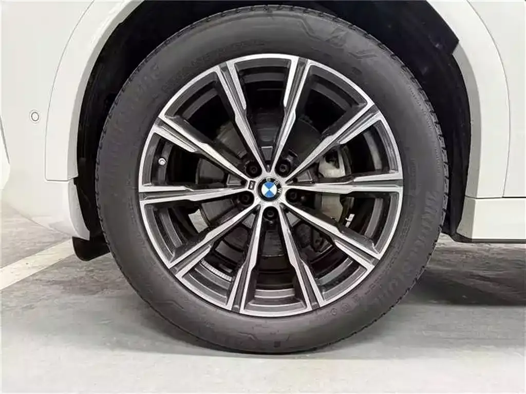 BMW X6 2023 из CN, фото 4
