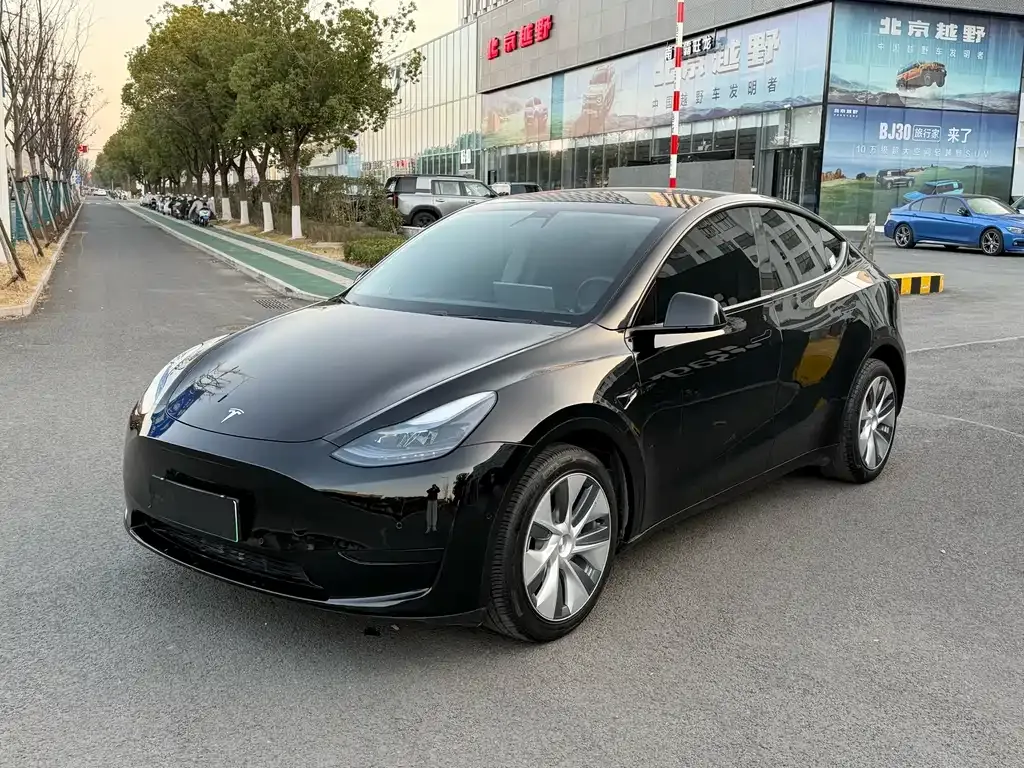 Tesla Model Y 2021 из CN, фото 1