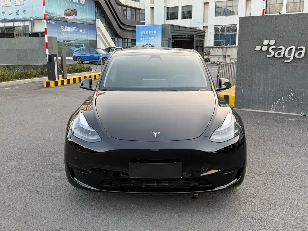 Tesla Model Y 2021 из CN, фото 7
