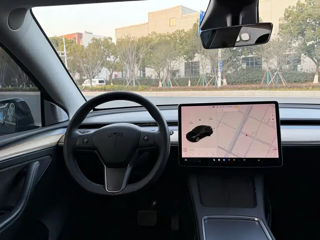 Tesla Model Y 2021 из CN, фото 6