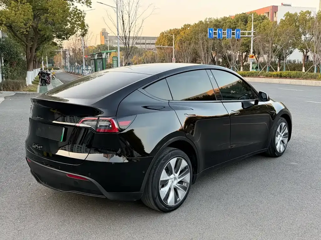 Tesla Model Y 2021 из CN, фото 8