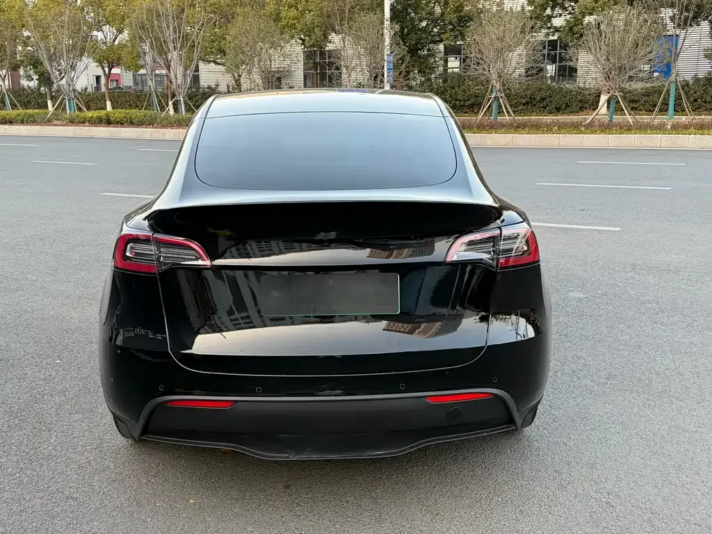 Tesla Model Y 2021 из CN, фото 9