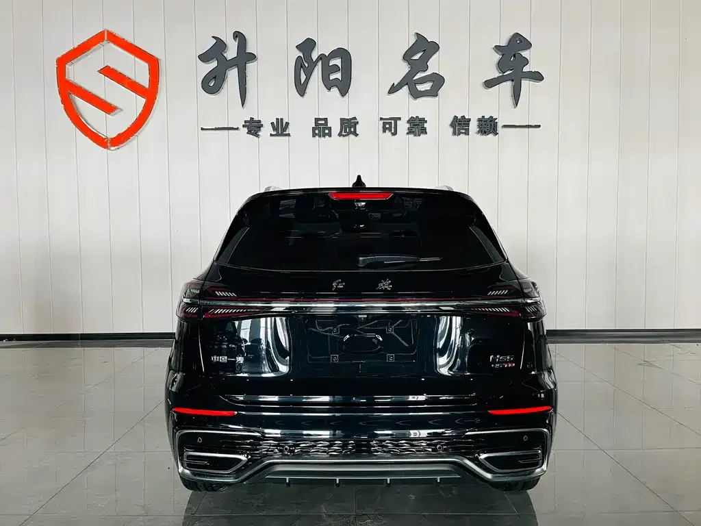 Hongqi HS5 2024 из CN, фото 6