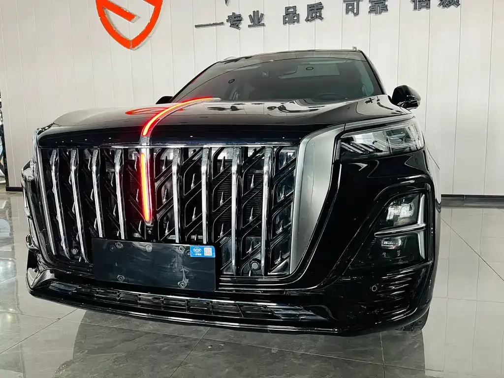 Hongqi HS5 2024 из CN, фото 8
