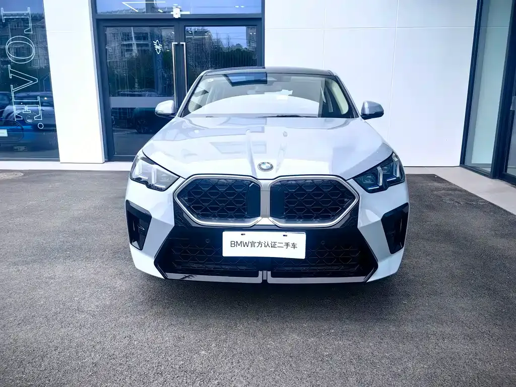BMW X2 (Import) 2025 из CN, фото 9