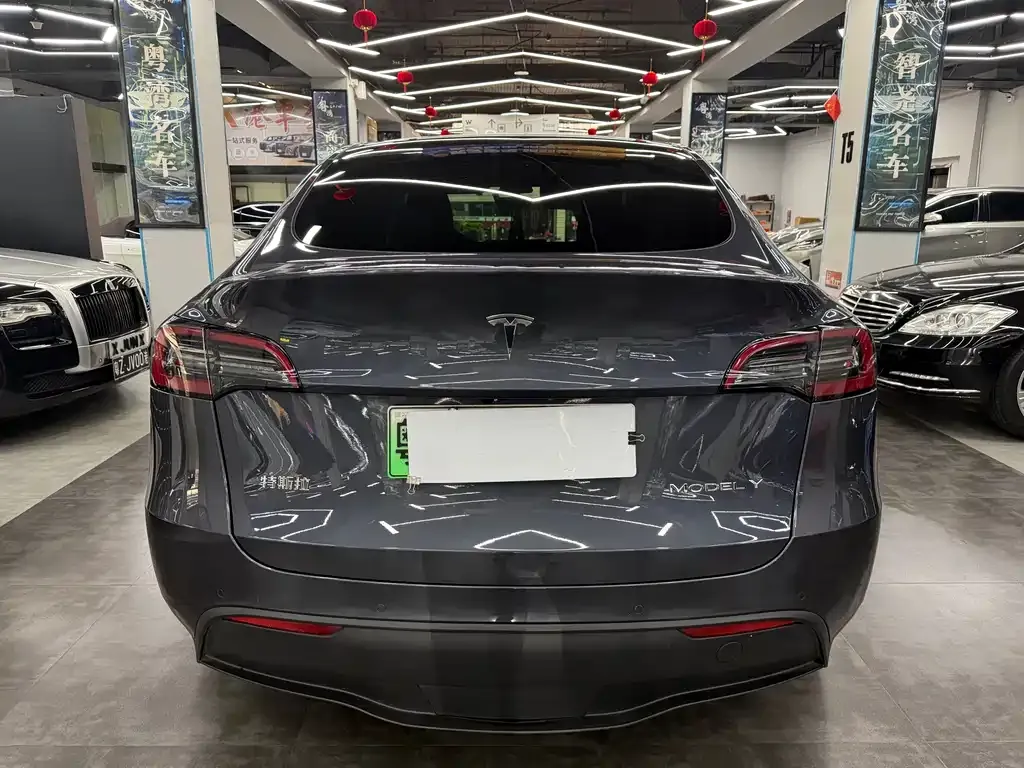Tesla Model Y 2022 из CN, фото 6