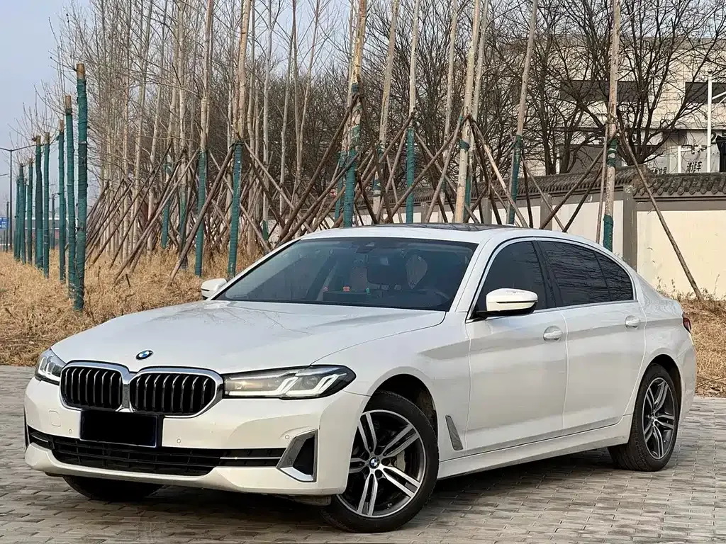 BMW 5 Series 2022 из CN, фото 1