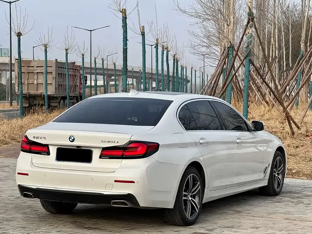 BMW 5 Series 2022 из CN, фото 10