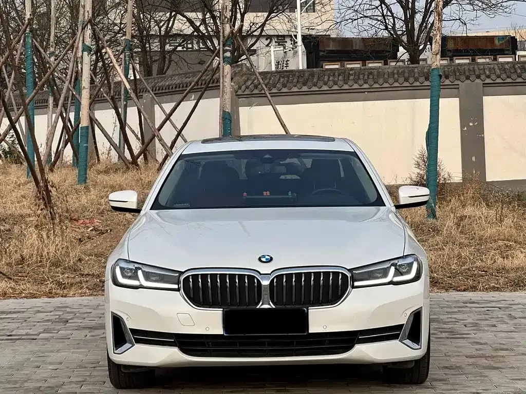 BMW 5 Series 2022 из CN, фото 8