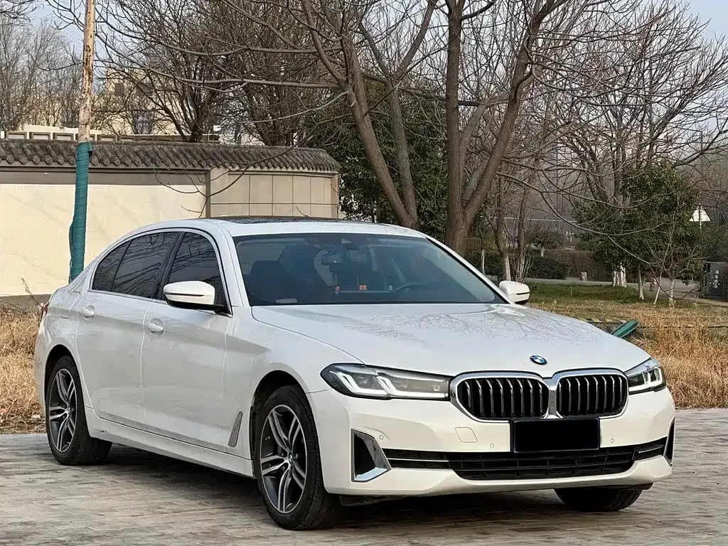 BMW 5 Series 2022 из CN, фото 7