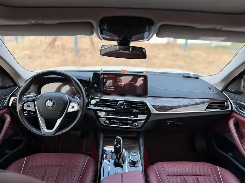 BMW 5 Series 2022 из CN, фото 4
