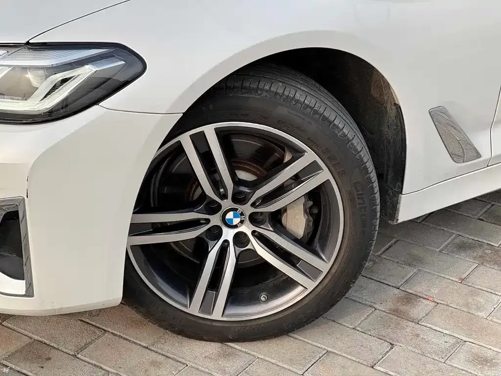 BMW 5 Series 2022 из CN, фото 9