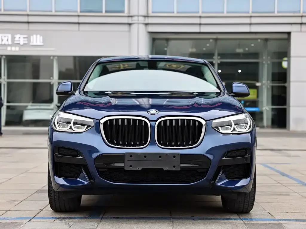 BMW X4 2021 из CN, фото 6