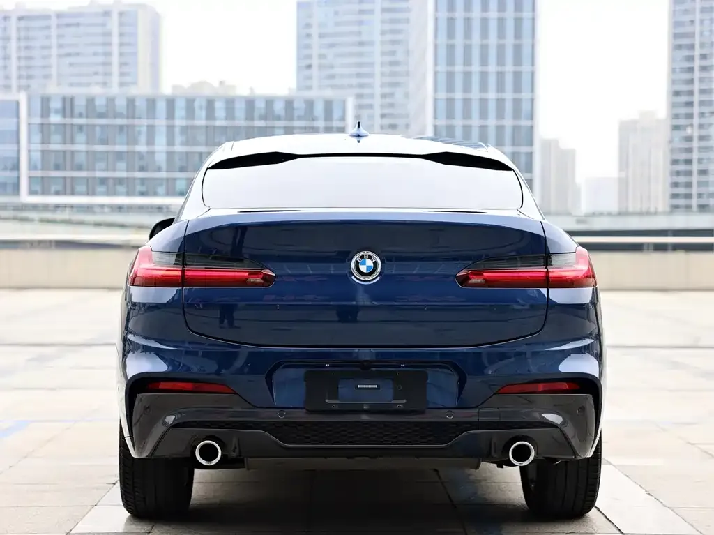 BMW X4 2021 из CN, фото 5