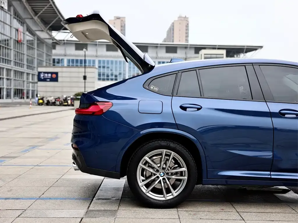 BMW X4 2021 из CN, фото 3